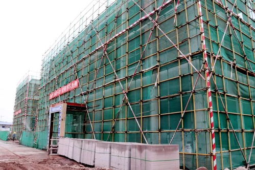 喜訊！龍馬潭大型建材產業物流港建設迎來新進展