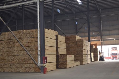 鄭州建材模板市場再迎巨擘，華豐·榮俊模板中心璀璨開業